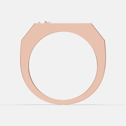 The Quiet Spark Ring - View 2